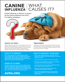 are there flu shots for dogs