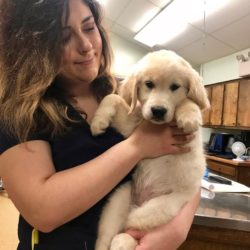 Our Puppy Packages are an amazing value, and you will meet the Doctor every visit - along with our wonderful Vet Assistants like Jordan.