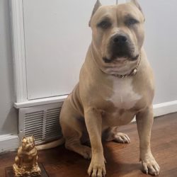 Hercules with trophy